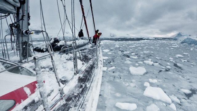 Segeln in der Antarktis
