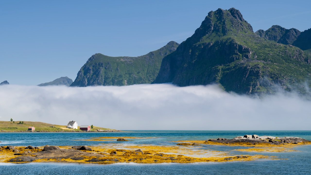 Nebel Lofoten