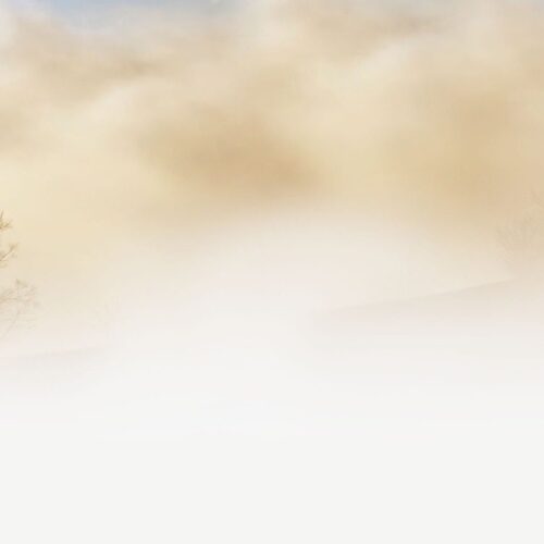 Von Hüttenkoller und Neujahrsvorsätzen