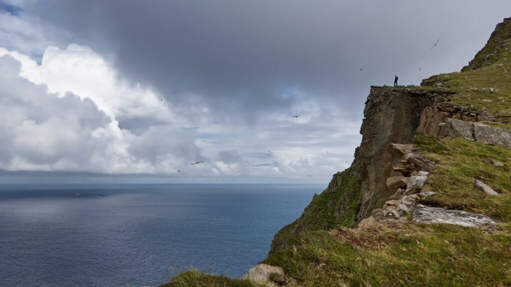 Klippen von Hirta St. Kilda