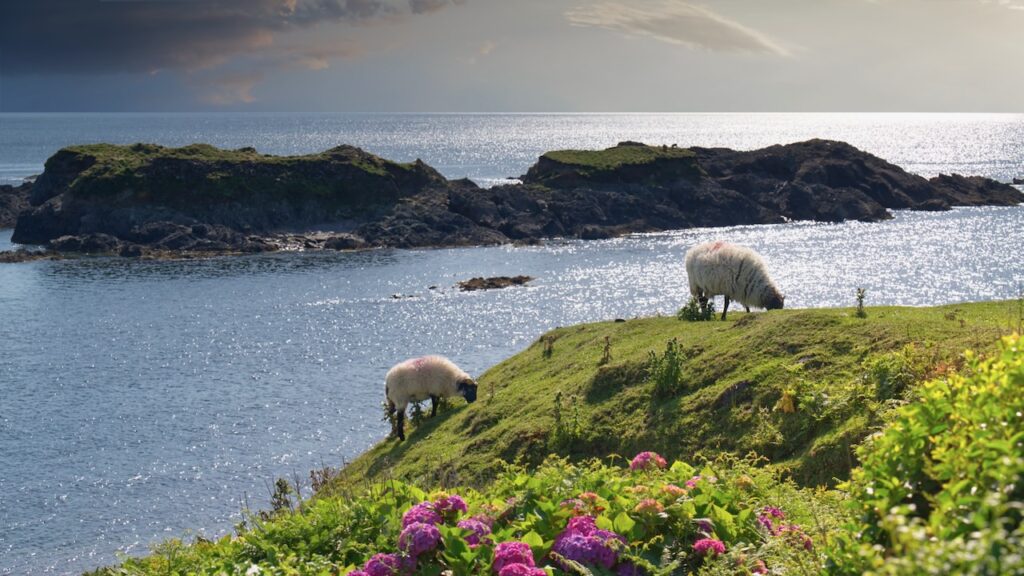 County Mayo, Irland